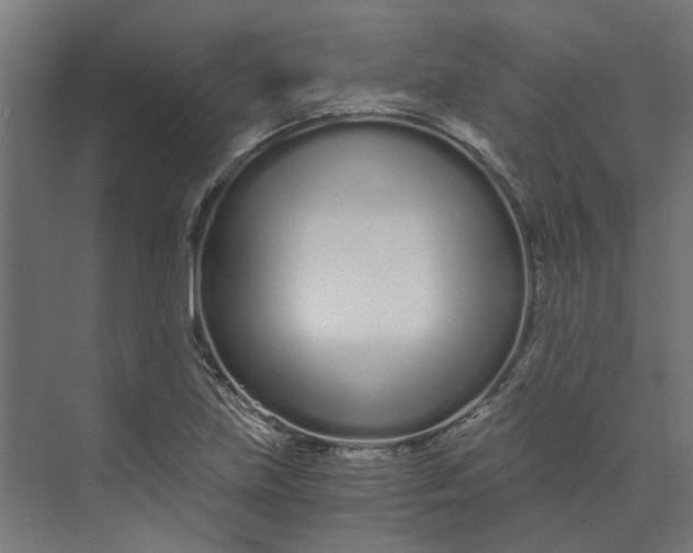 X0000073701219200608241408