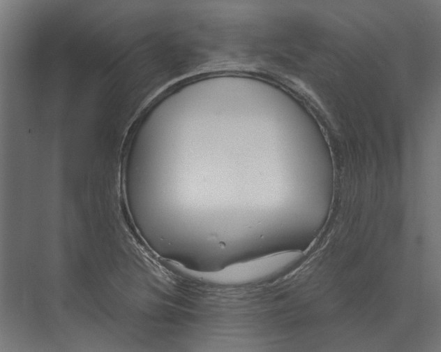 X0000073701220200608241408