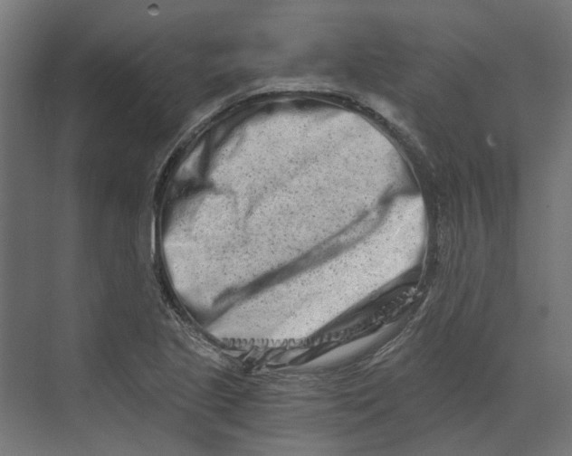 X0000073701221200608241408