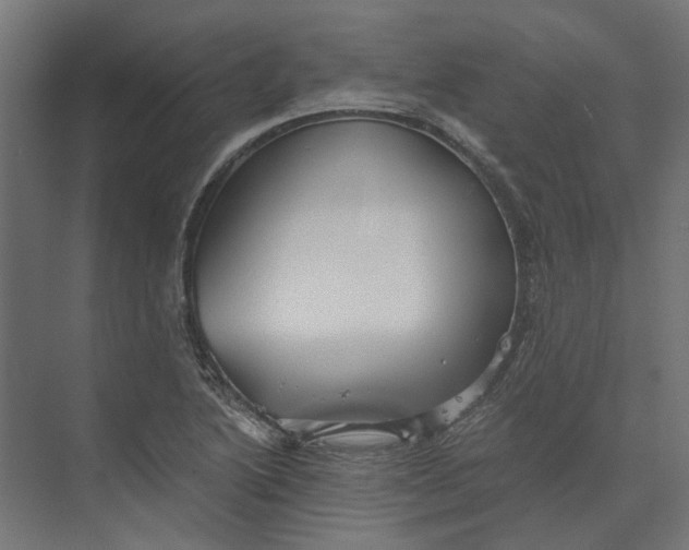 X0000073701222200608241408