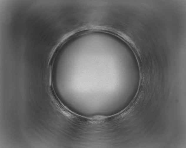 X0000073701223200608241408