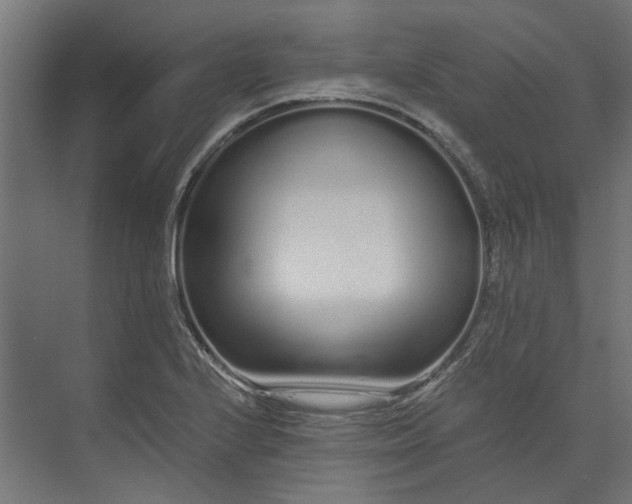 X0000073701224200608241408