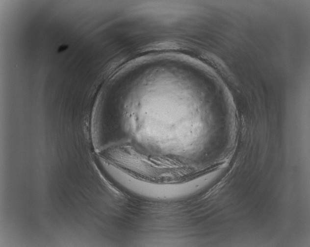 X0000073701225200608241408