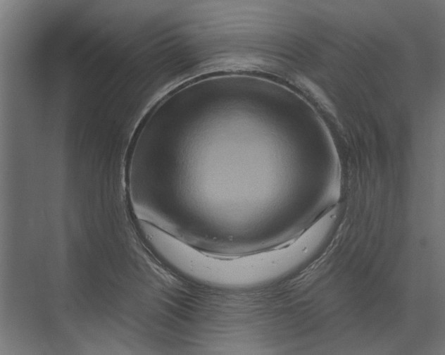 X0000073701226200608241408