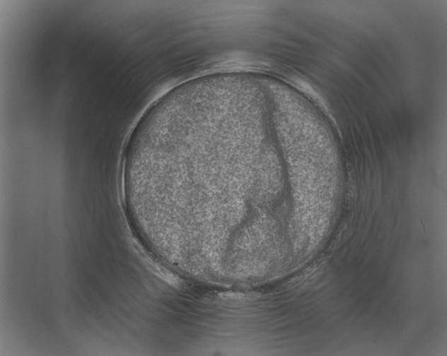 X0000073701227200608241408