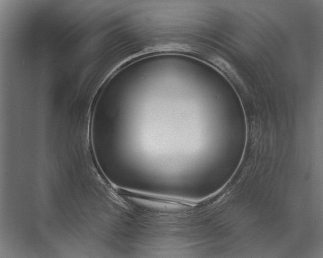 X0000073701228200608241408