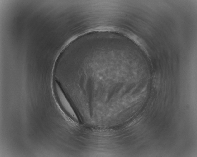 X0000073701229200608241408