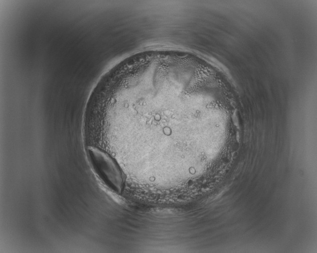 X0000073701231200608241408