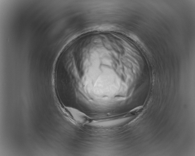 X0000073701232200608241409