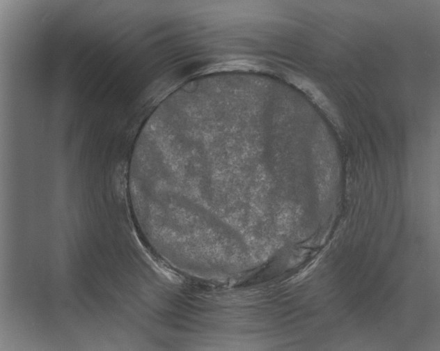 X0000073701233200608241409