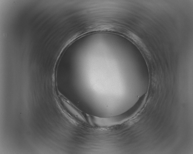 X0000073701234200608241409