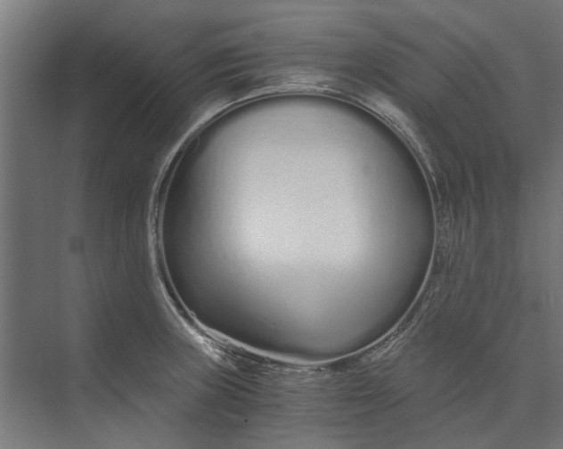 X0000073701235200608241409