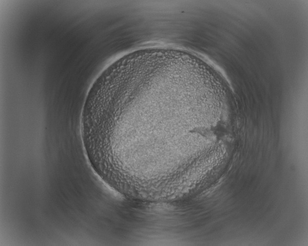 X0000073701239200608241409