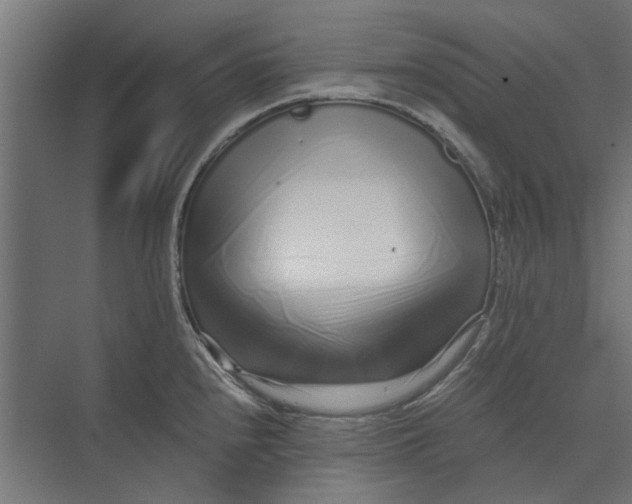 X0000073701240200608241409