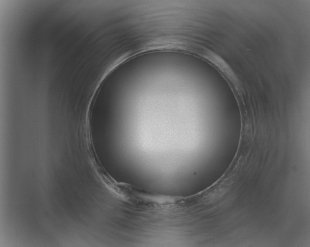 X0000073701242200608241409