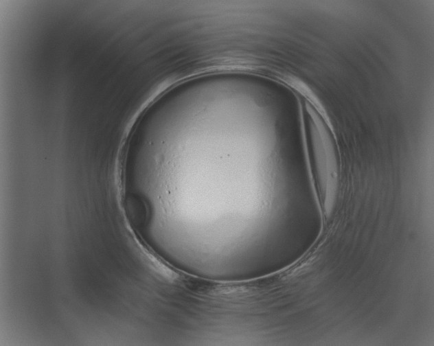 X0000073701243200608241409