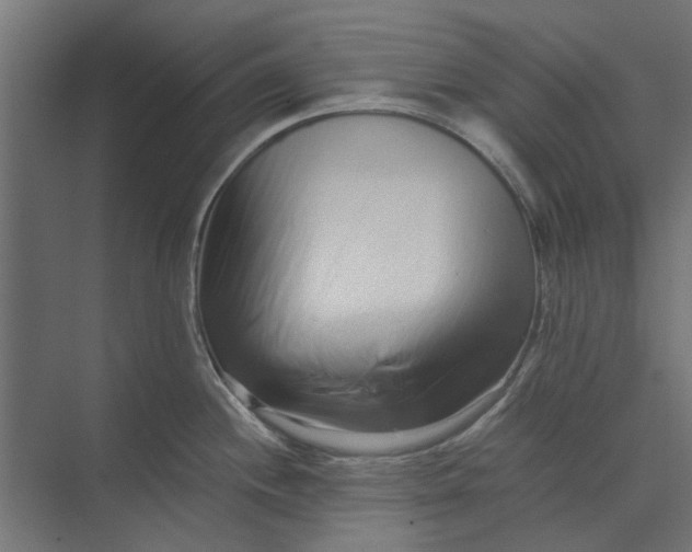 X0000073701244200608241409