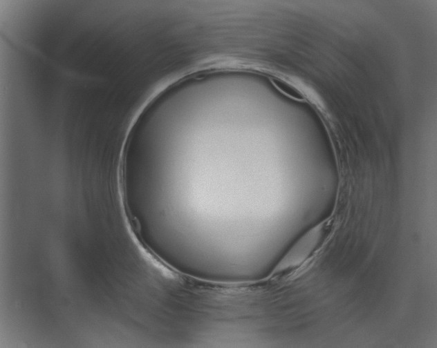 X0000073701247200608241409