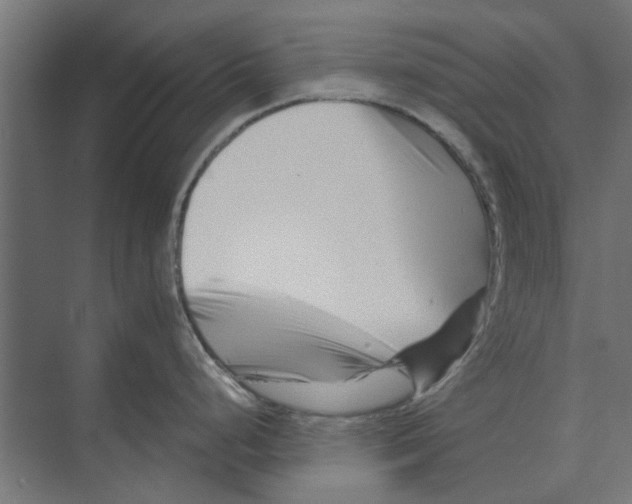 X0000073701248200608241409