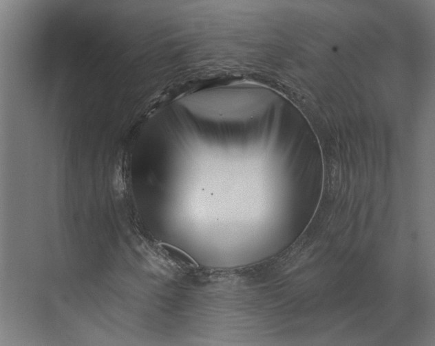 X0000073701250200608241408