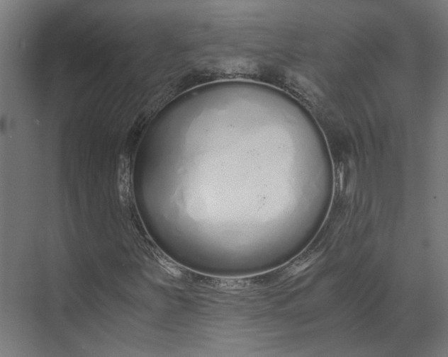 X0000073701251200608241408