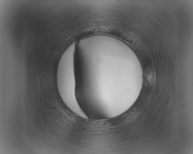 X0000073701252200608241408