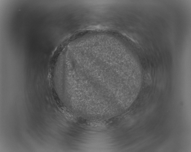 X0000073701254200608241408