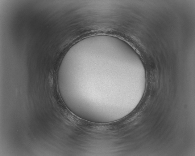 X0000073701257200608241408