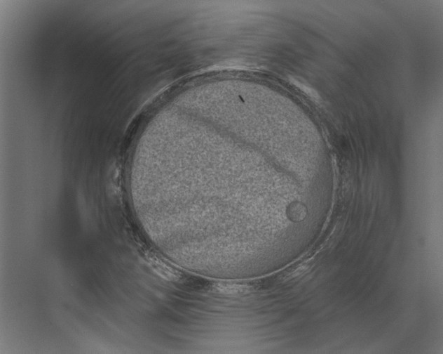 X0000073701258200608241408