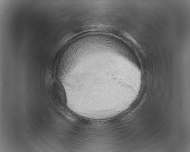 X0000073701259200608241408