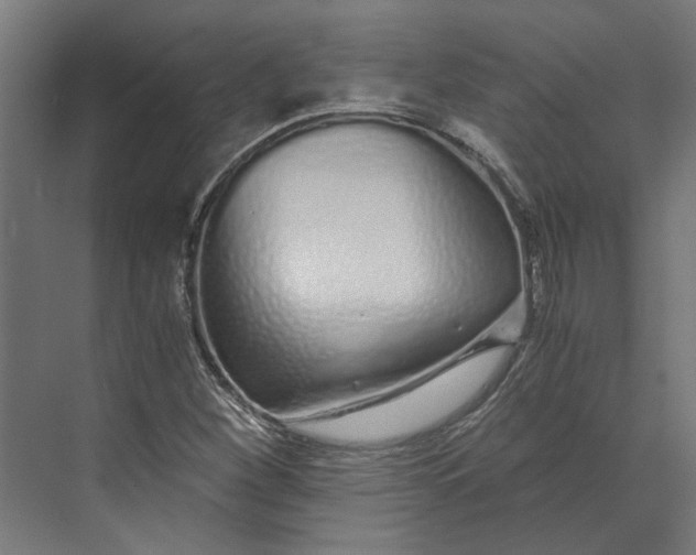 X0000073701260200608241408