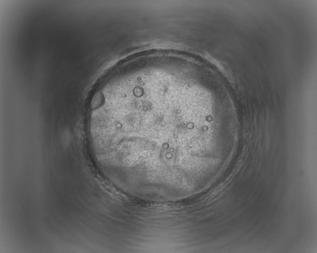 X0000073701263200608241408