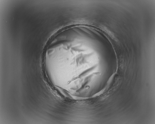 X0000073701264200608241408