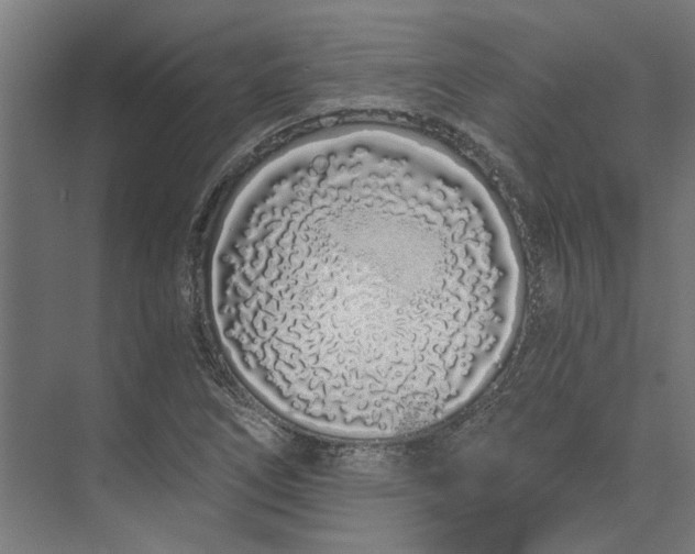 X0000073701266200608241408