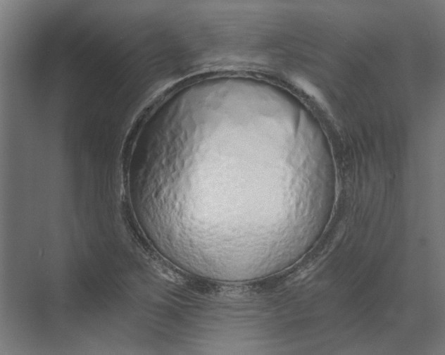 X0000073701267200608241408