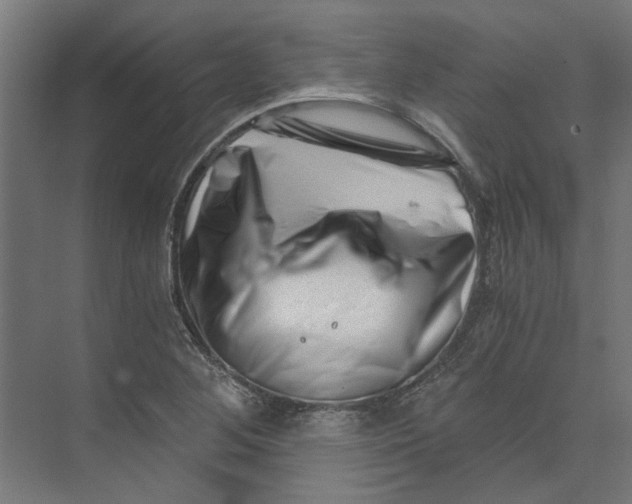 X0000073701268200608241408