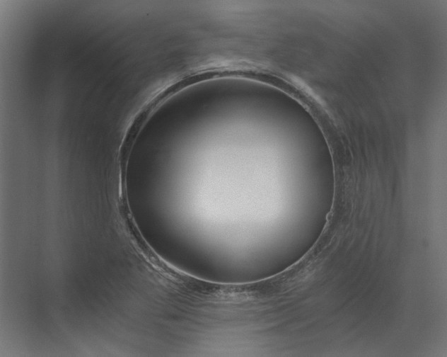 X0000073701269200608241408