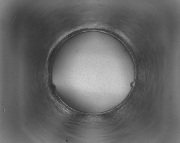 X0000073701270200608241408