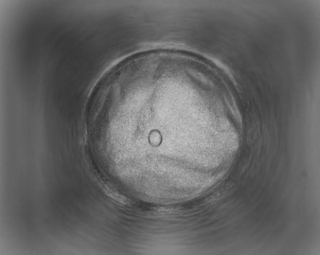 X0000073701271200608241408