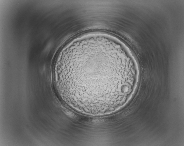 X0000073701274200608241408