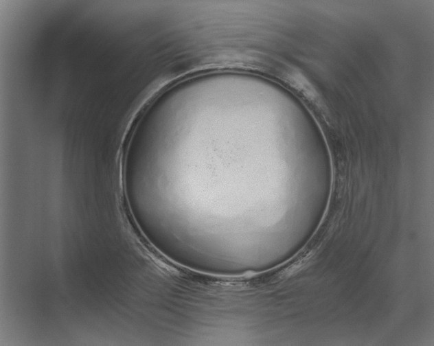 X0000073701275200608241408