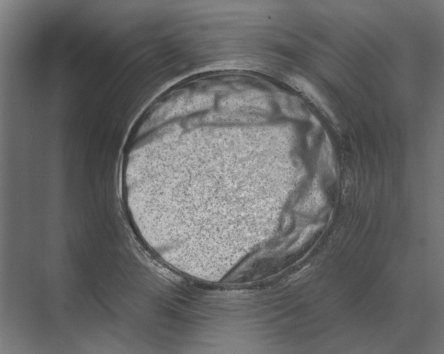 X0000073701276200608241408