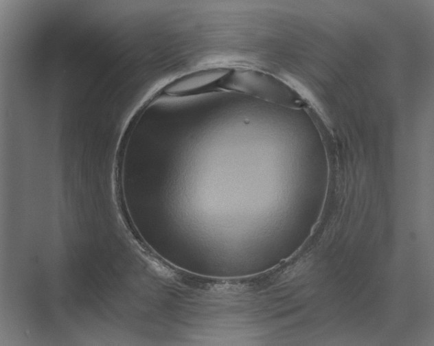 X0000073701277200608241408