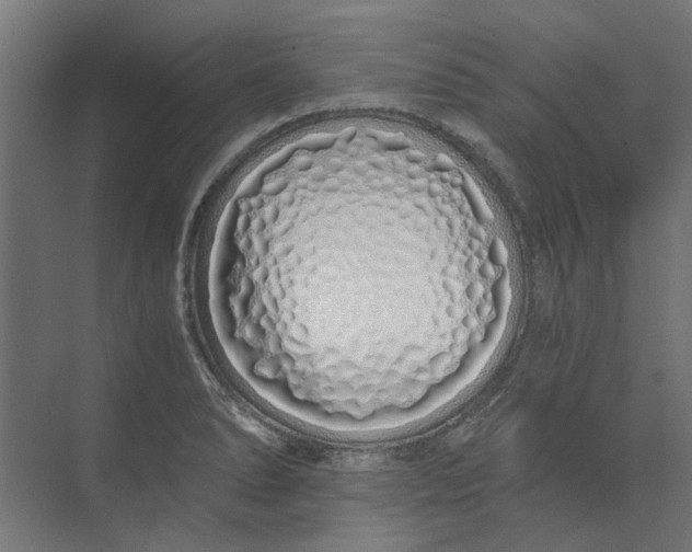 X0000073701278200608241407