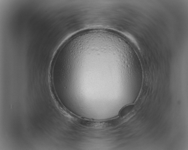 X0000073701279200608241407