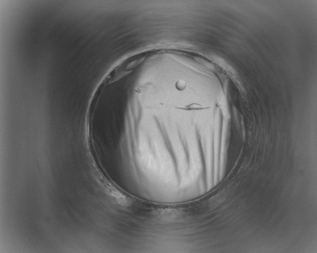 X0000073701280200608241407