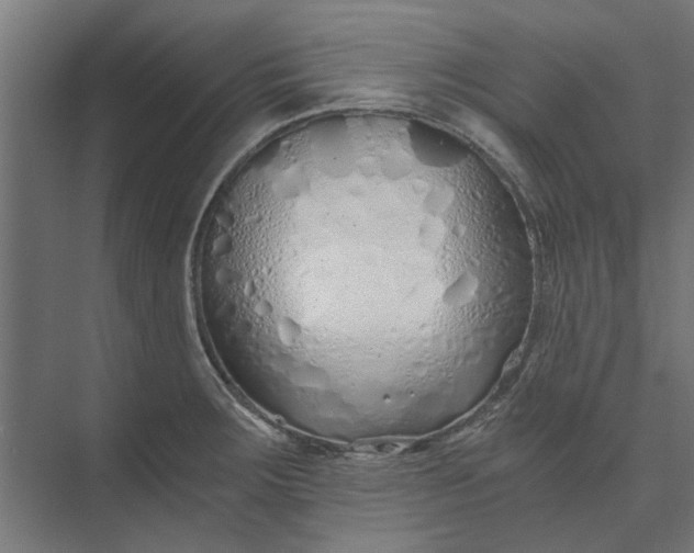 X0000073701283200608241407