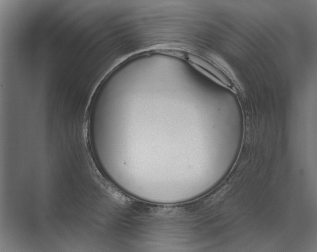 X0000073701284200608241407