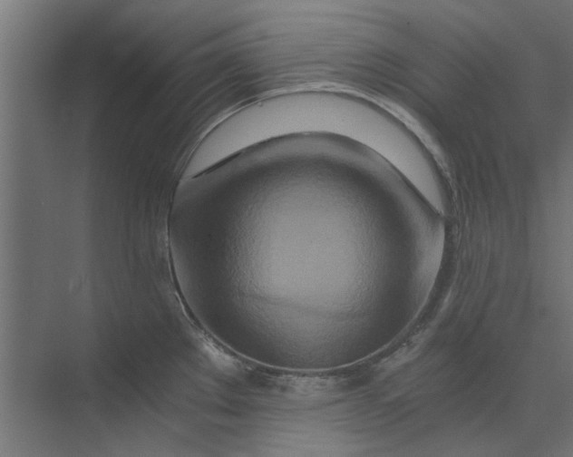 X0000073701289200608241407