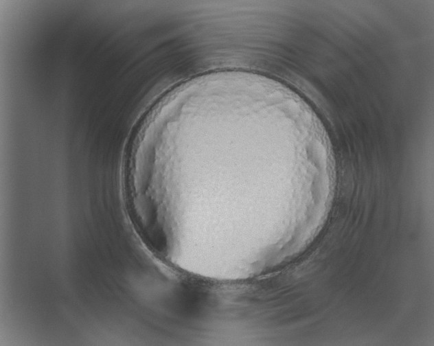 X0000073701290200608241407